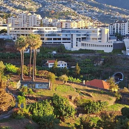 Magnolia Apartment Luxury Apt Great Views Funchal Dış mekan fotoğraf